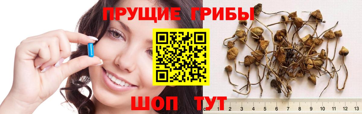 Галлюциногенные грибы ЛСД Пыть-Ях