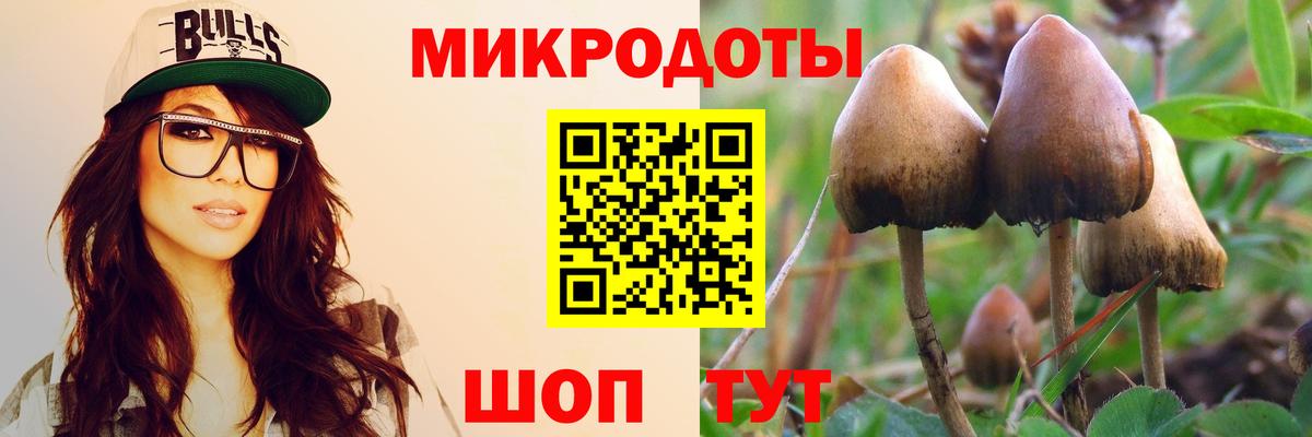 Пыть-Ях  Галлюциногенные грибы Psilocybe  дарнет шоп  Псилоцибиновые грибы MAGIC MUSHROOMS  Вход с VPN 